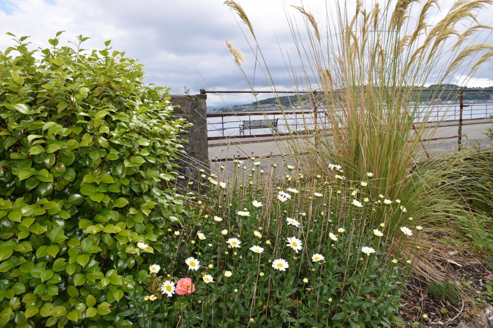 One Marine Place Port Bannatyne Kültér fotó